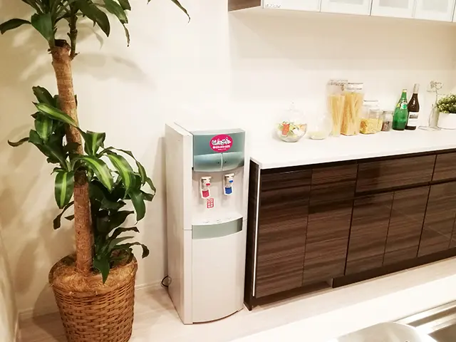 ピュールサーバー