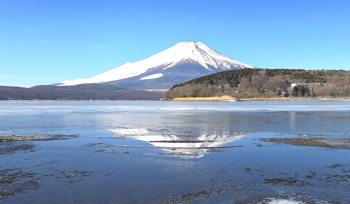 バナジウム